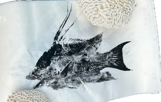 Hogfish Gyotaku - Unframed