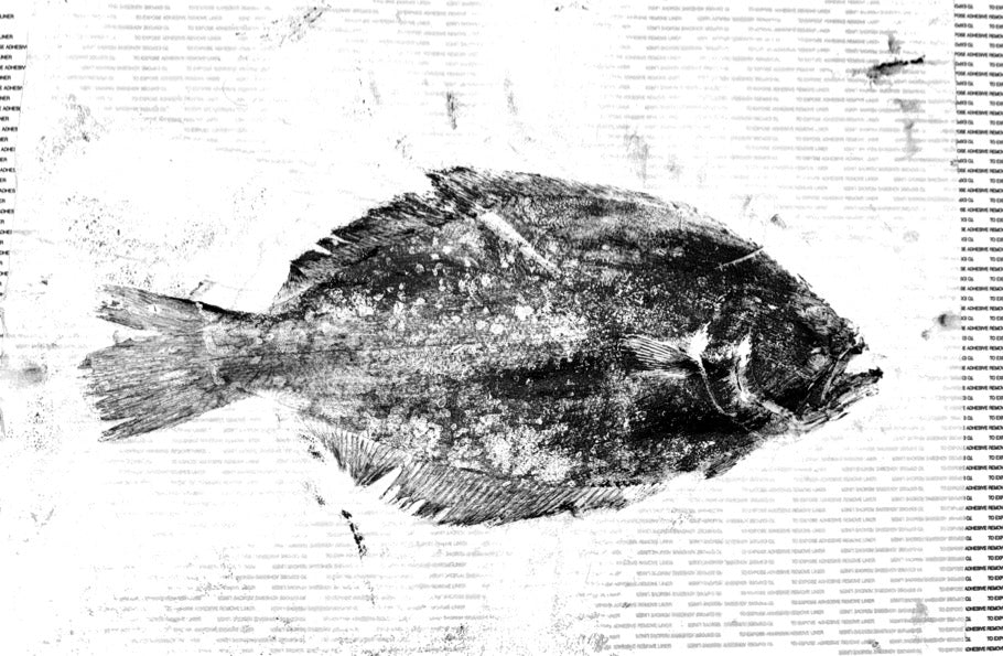 Gulf Coast Flounder Gyotaku