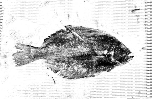 Gulf Coast Flounder Gyotaku