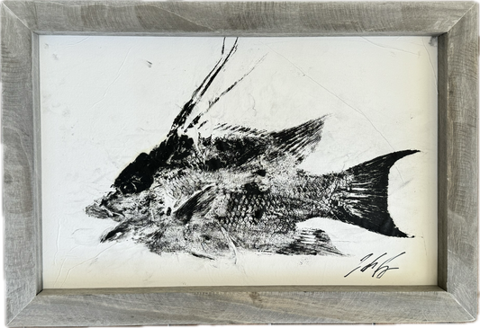 Hogfish Gyotaku (One) - Original Ink - Framed