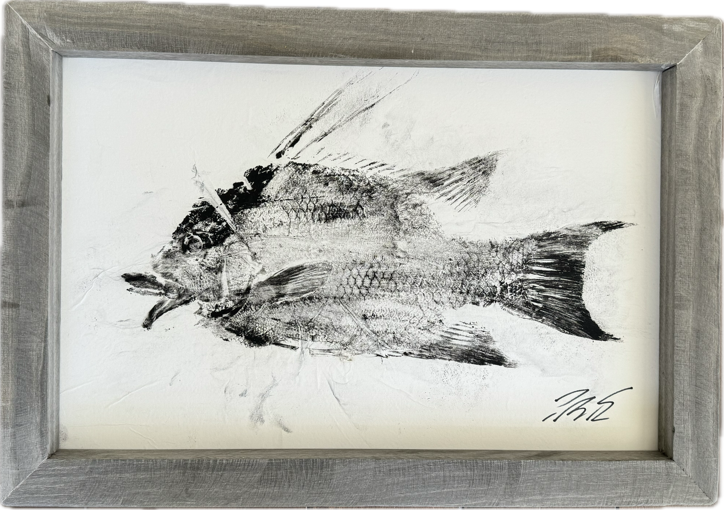 Hogfish Gyotaku (Two) - Original Ink - Framed