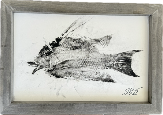 Hogfish Gyotaku (Two) - Original Ink - Framed