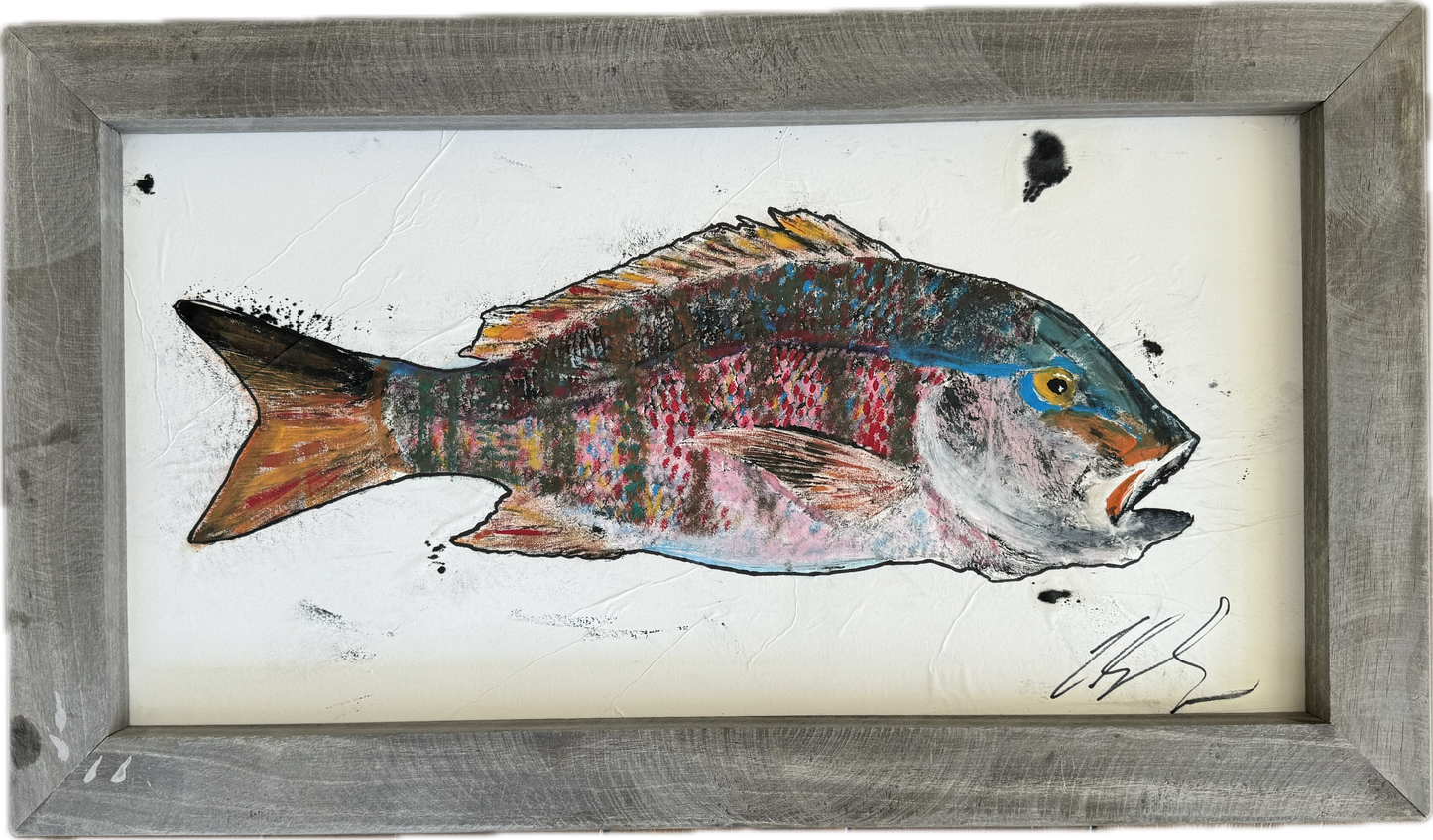 Mutton Snapper Gyotaku - Colored - Framed