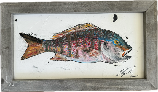 Mutton Snapper Gyotaku - Colored - Framed